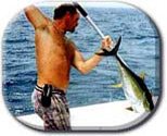 Photo: Large Time Charters Photo: Large Time Charters