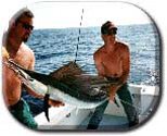 Photo: Musicman Charters Photo: Musicman Charters