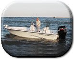 Photo: Seahawk Inshore Charters Photo: Seahawk Inshore Charters