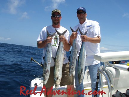 The kings are on fire right now!