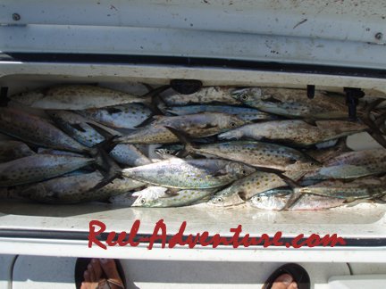 The Spanish Action is intense! Lots of sight casting!