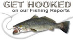 Carolina Beach Fishing Reports, Get Hooked!