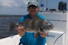 Black-Drum-April-26-2008-008