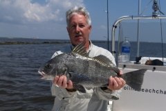 Black-Drum-April-26-2008-012