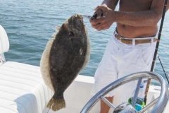 Flounder-Oct-8-2008-002-full