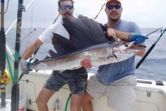 normal_051305sailfish1