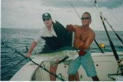 normal_Fish_Dance_Sailfish