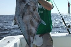 Jigging-03-12-2008-022