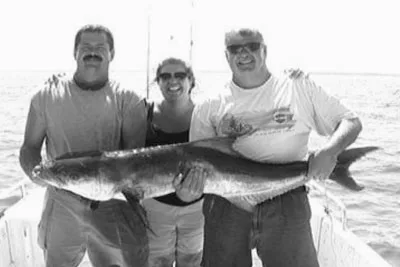 111-5_image_no_cobia.png