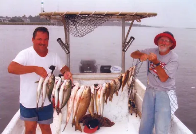stringer full of saltwater fish