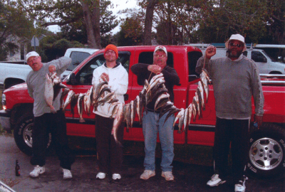 Billy, Brad, Rick and Hank from Greensboro, NC caught these flounder, drum, virginia mullet and trout fishing aboard Affordable Charters.