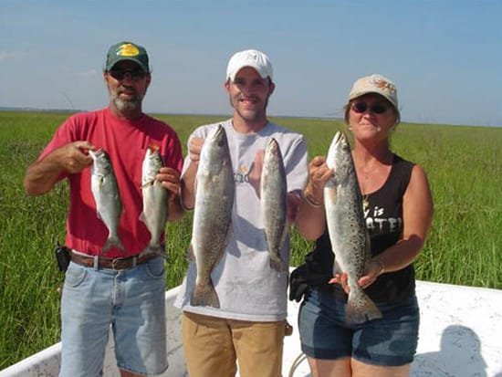 In the surf bluefish, red drum, small flounder