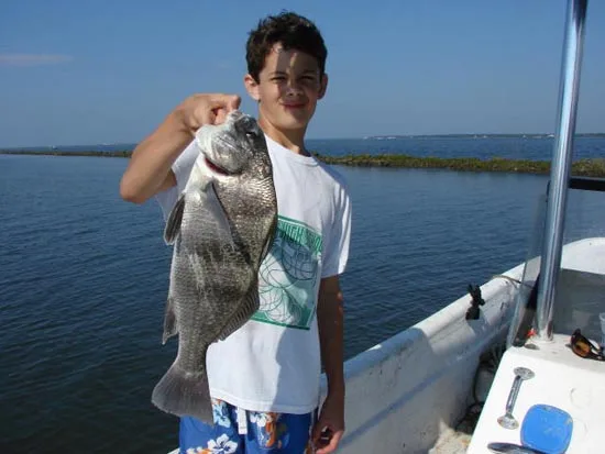 Phil jr