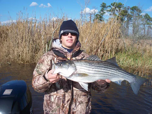 Seahawk Inshore Fishing Charters Capt. Christian Wolfe with a striper