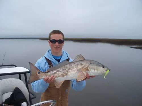 Seahawk Inshore Fishing Charter angler with a healthy inshore red drum