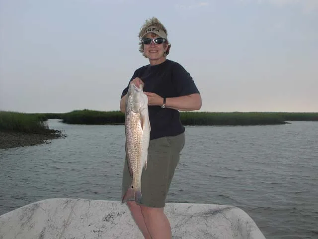 red drum caught inshore fishing