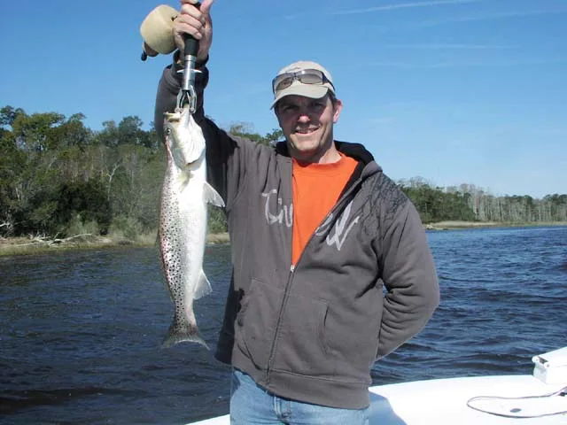 another speckled trout also called Spotted Seatrout