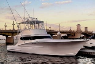 Wet N Wild & Fish Dance Charters