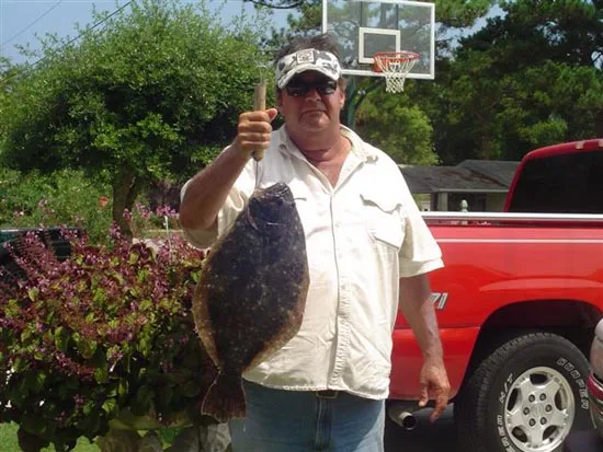 flounder