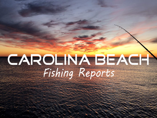 Carolina Beach Surf Fishing