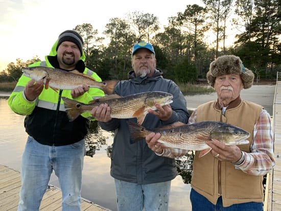 redfish