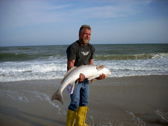 Big Redfish caught surf fishing at Carolina Beach