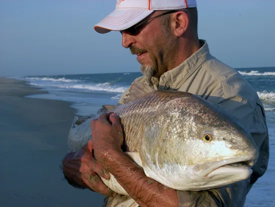 Big Redfish caught surf fishing at Carolina Beach
