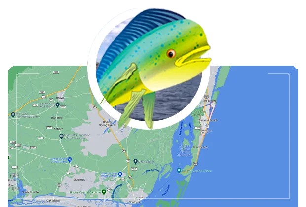 carolina beach outline map