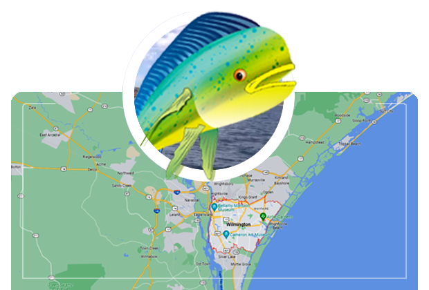 What are the Most Popular Fishing Spots in Wilmington, NC?