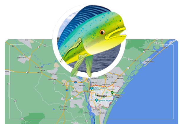 What are the Most Popular Fishing Spots in Wilmington, NC?