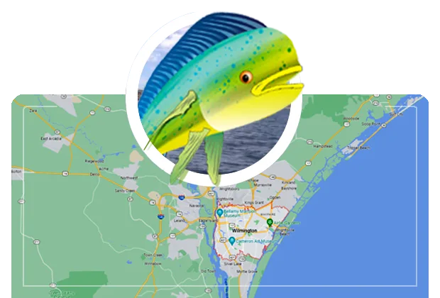 wilminton nc outline map