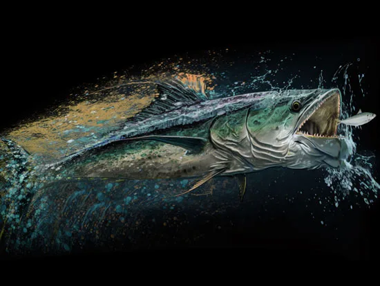 "kingfish" Digital Artwork by Mark Mayo