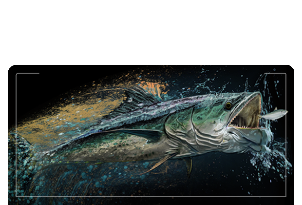 "kingfish" Digital Artwork by Mark Mayo