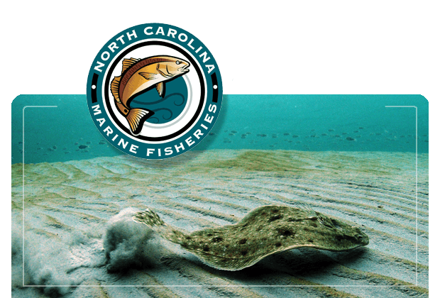 2023 Recreational Flounder Season Announced