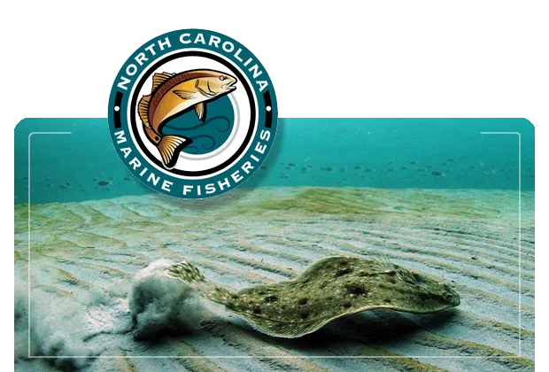 2023 Recreational Flounder Season Announced