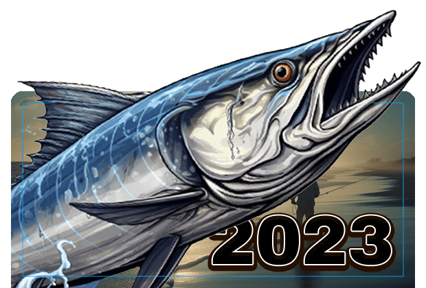 Saltwater fishing: Cooler water bringing Spanish mackerel back to